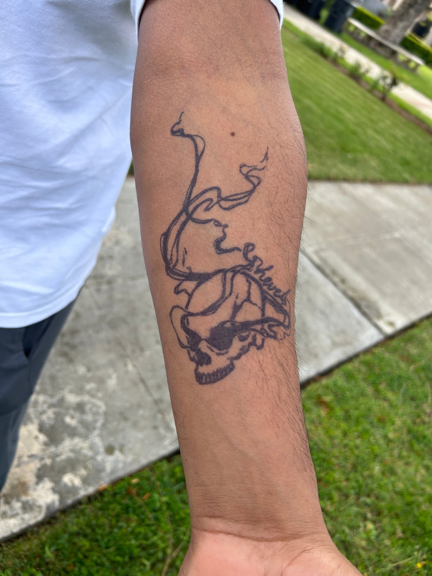 Hevel Skull Tattoo | Smoke Tattoo | 2 Week Temporary Tattoo | Semi Permanent Tattoo | Plant Based Vegan Tattoo | Festival Tattoo