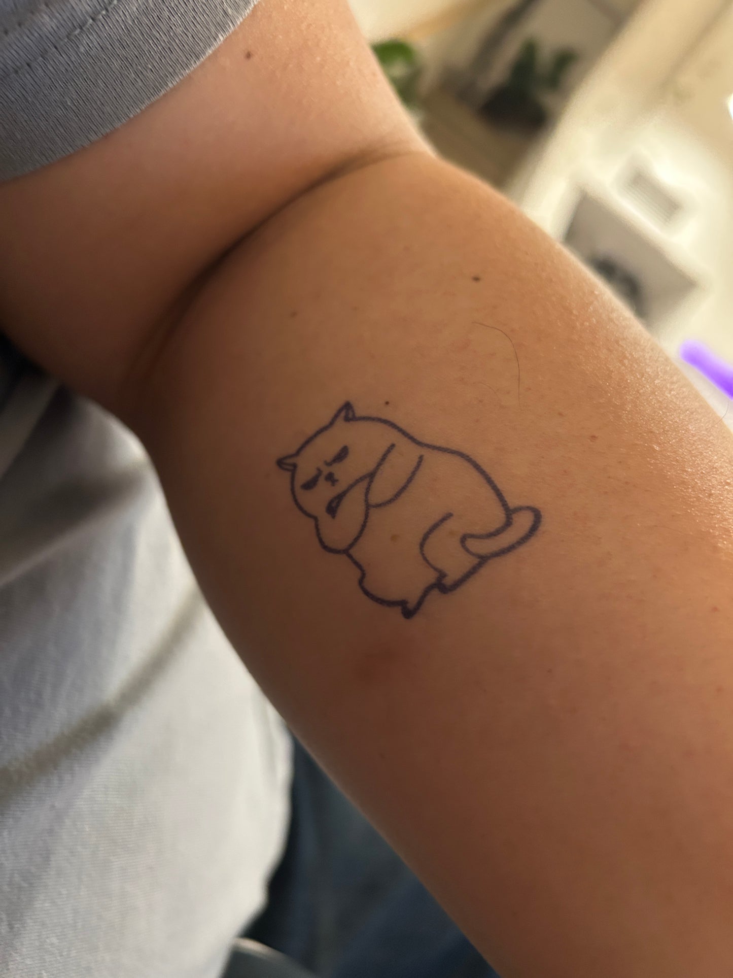 Grumpy Cat Tattoo | 2 Week Temporary Tattoo | Plant Based Vegan Tattoo | Cat Tattoo | Festival Tattoo | Crazy Cat Tattoo | Fun Tattoo