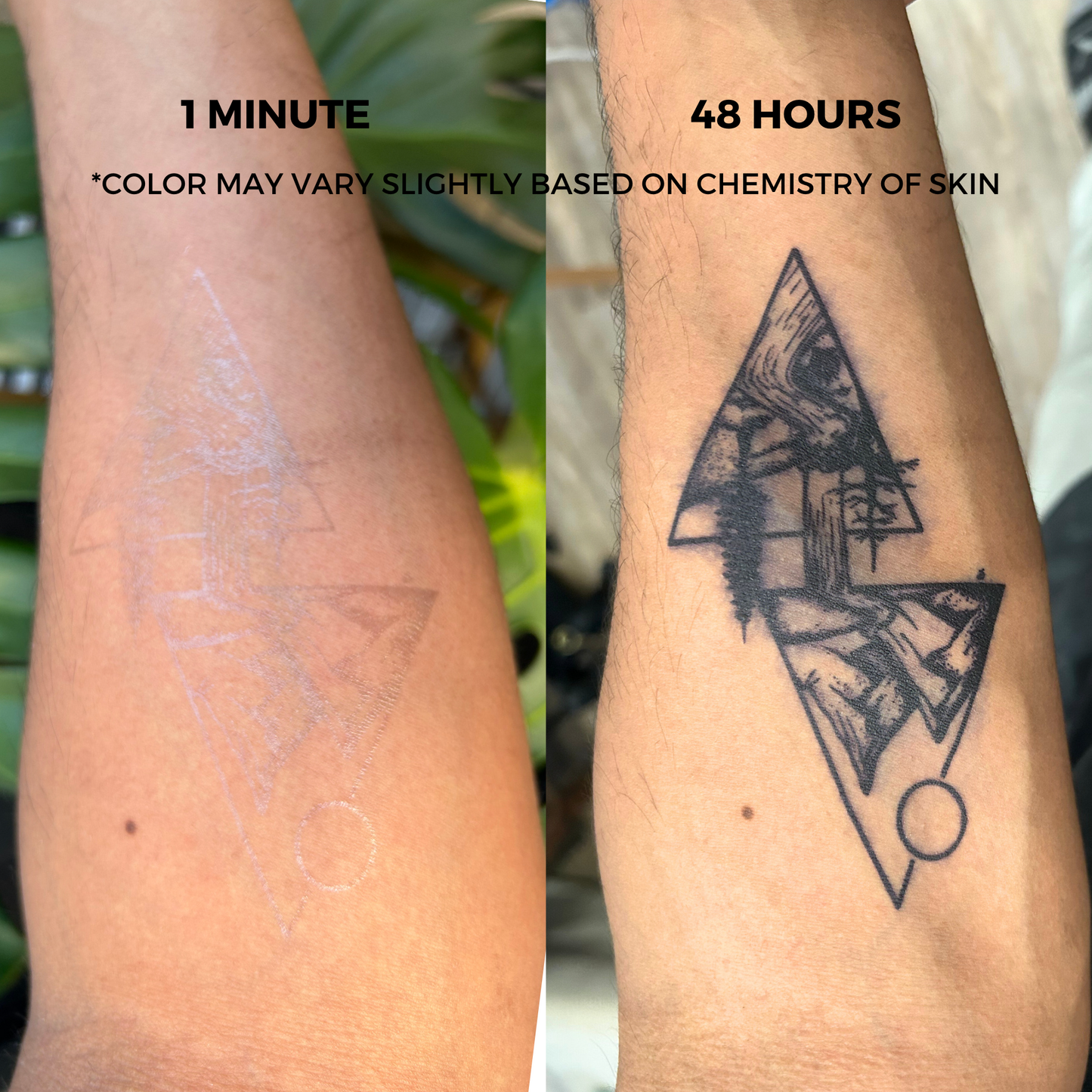 Peace Bird Tattoo | 2 Week Semi Permanent Temporary Tattoo | Plant Based Vegan Tattoo | Spiritual Tattoo | Large Bird Tattoo | Freedom Tattoo | Symbolic Tattoo
